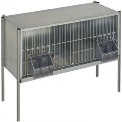 Gaiola para pombos com 2 compartimentos e pernas