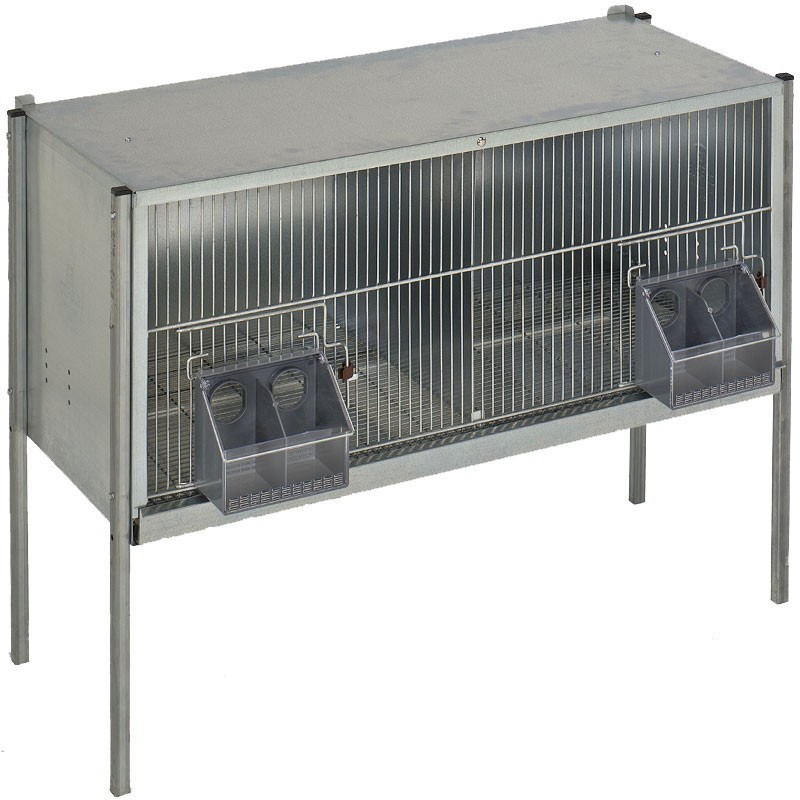 Pigeon cage 2 departments with legs Pigeon cage 2 departments with legs