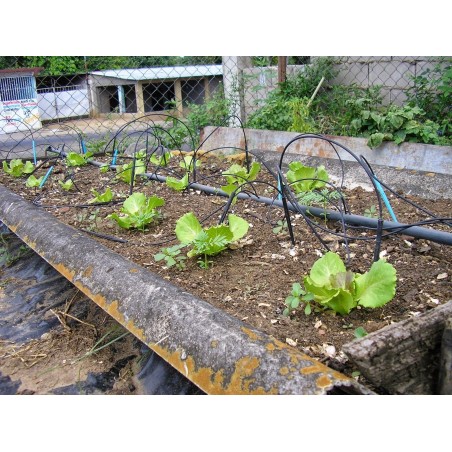 Flexible microtubing, 1.5 x 3 mm. 200-meter coil. Black tubing. Tubing used for drip irrigation.