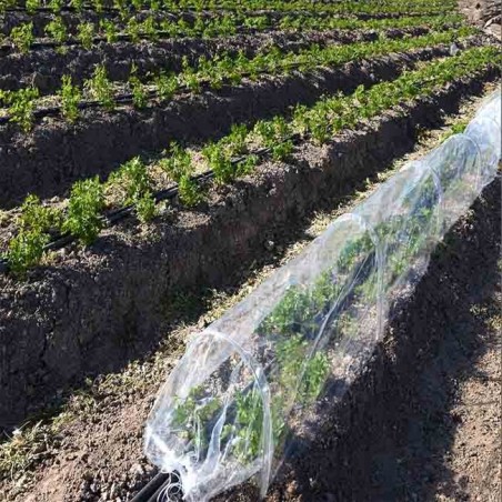 Tunnel serra trasparente 400 x 120 cm