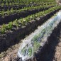 Transparent greenhouse tunnel 400 x 120 cm Transparent greenhouse tunnel 400 x 120 cm