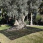 Filet de récolte, Manteau de récolte d'olives et d'amandes 4x6 m, 75 gr/m2