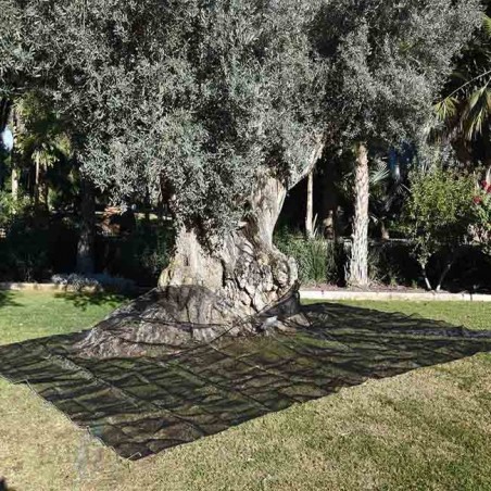 Rete di Raccolta, Telo di Raccolta per Olive e Mandorle 4 x 8 m, 75 gr/m²