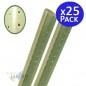 Tubo protector de arboles 60 cm (Pack 25). Protege tus plantas de animales roedores y diferentes plagas.