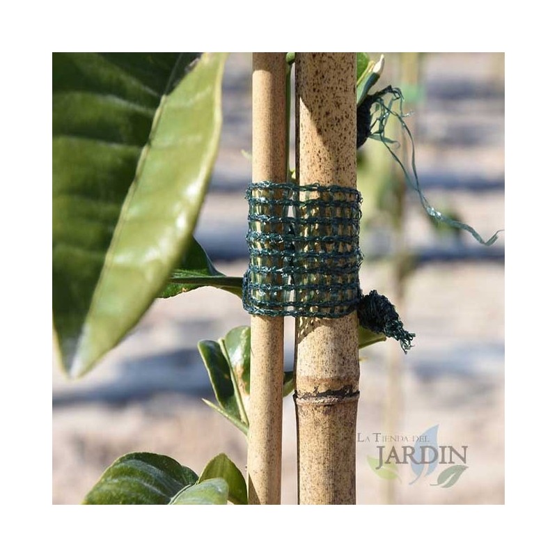 Fita de ráfia verde 3 cm x 50 m