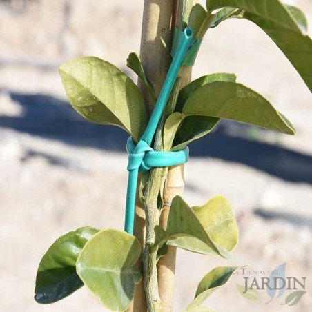 Tubo Agricolo Verde, Legatura in PVC per piante, ortaggi e fiori, lunghezza 145 m