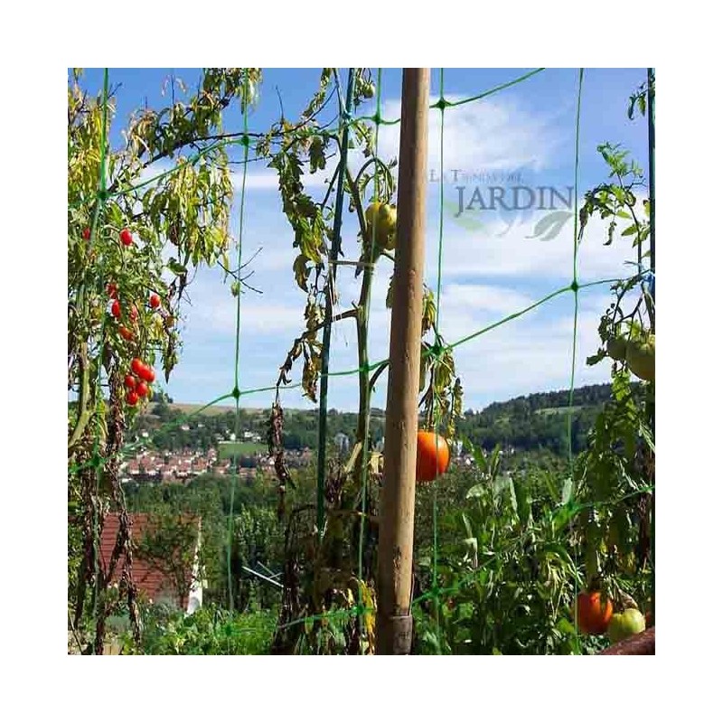 Filet de soutien pour plantes grimpantes, concombres, tomates, filet de