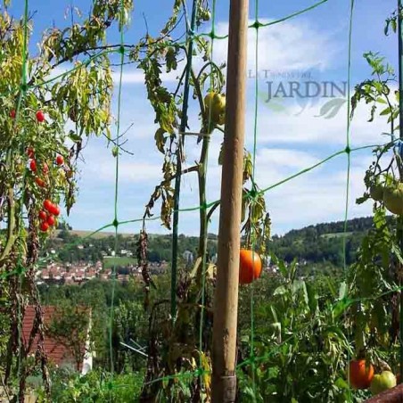 Rete da Picchettamento verde 2 x 10 metri. Piante Rampicanti a Maglia Larga, Cetrioli, Pomodori, Fiori