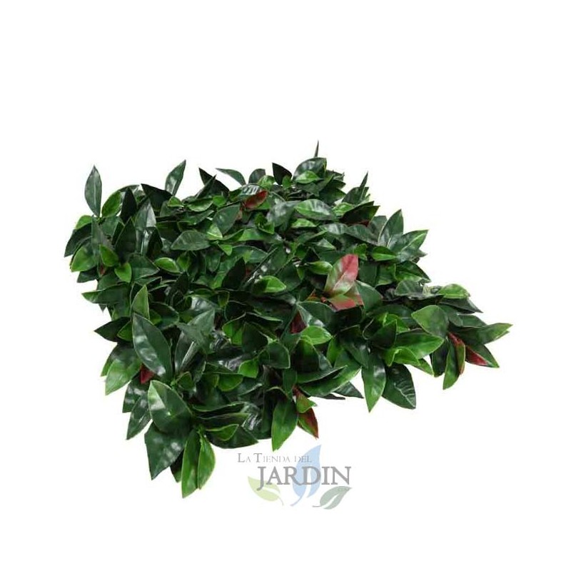 Jardim Vertical Liptus 100x100 cm | Planta Artificial | Decoração de Parede Interna/Externa | Jardins Verticais Jardim Vertical Liptus 100x100 cm | Planta Artificial | Decoração de Parede Interna/Externa | Jardins Verticais