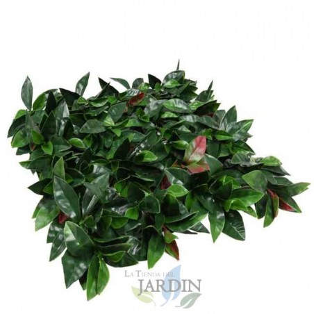 Liptus Vertikaler Garten 100 x 100 cm