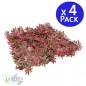 Lot de 4 Mur Végétal Artificiel Brise-Vue Verdissement Balcon Clôture de Jardin, avec Treillis, Feuilles de érable, 50 x 50 cm Lot de 4 Mur Végétal Artificiel Brise-Vue Verdissement Balcon Clôture de Jardin, avec Treillis, Feuilles de érable, 50 x 50 cm