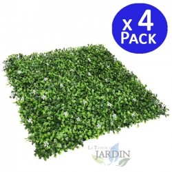 Jasmine Vertical Garden 50 x 50 cm.