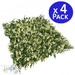 Pack 4 x Flavo Vertical Garden 50 x 50 cm