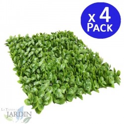 Boxwood Vertical Garden 50 x 50 cm. 
