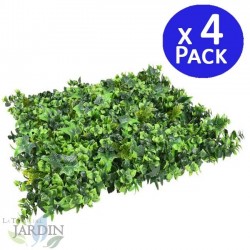 Mahonia Vertical Garden 50 x 50 cm. 