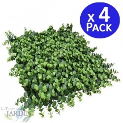 Irolia Vertical Garden 50 x 50 cm. 