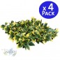 Jardin vertical Laurel 50 x 50 cm (Pack 4)