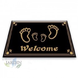 Paillasson Exterieur Entree Tapis Entree Interieur Absorbant et Antidérapart 40x60 cm Welcome noir