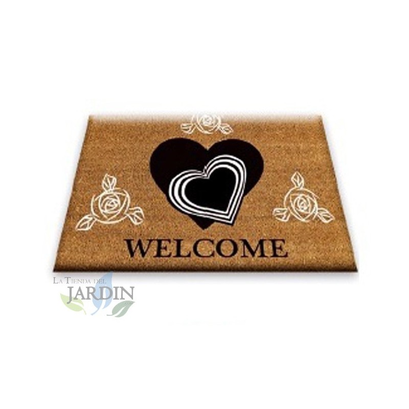 Paillasson Exterieur Entree Tapis Entree Interieur Absorbant et Antidérapart 40x60 cm Welcome Hearts