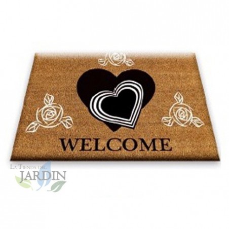 Doormat 40x60 cm welcome hearts