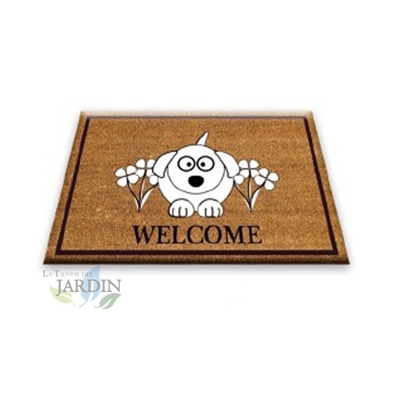 Paillasson Exterieur Entree Tapis Entree Interieur Absorbant et Antidérapart 40x60 cm Welcome Pet