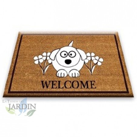 Paillasson Exterieur Entree Tapis Entree Interieur Absorbant et Antidérapart 40x60 cm Welcome Pet