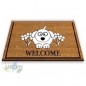 Paillasson Exterieur Entree Tapis Entree Interieur Absorbant et Antidérapart 40x60 cm Welcome Pet