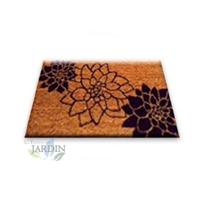 Paillasson Exterieur Entree Tapis Entree Interieur Absorbant et Antidérapart 40x60 cm élegant