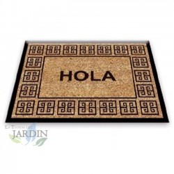 Capacho 40x60 cm hello classic