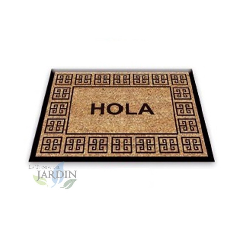 Paillasson Exterieur Entree Tapis Entree Interieur Absorbant et Antidérapart 40x60 cm Hello Classic