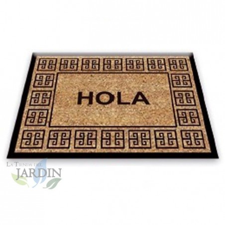 Paillasson Exterieur Entree Tapis Entree Interieur Absorbant et Antidérapart 40x60 cm Hello Classic