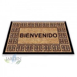 Doormat 40x60 cm classic welcome