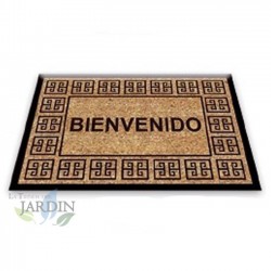 Paillasson Exterieur Entree Tapis Entree Interieur Absorbant et Antidérapart 40x60 cm Welcome Classic