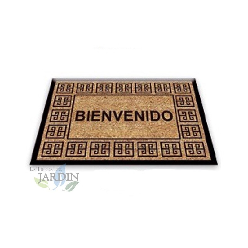 Paillasson Exterieur Entree Tapis Entree Interieur Absorbant et Antidérapart 40x60 cm Welcome Classic