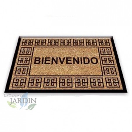 Paillasson Exterieur Entree Tapis Entree Interieur Absorbant et Antidérapart 40x60 cm Welcome Classic