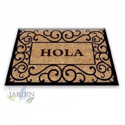 Doormat 40x60 cm hello rustic