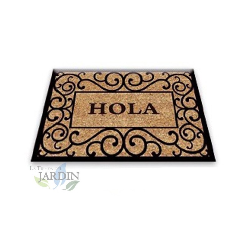 Paillasson Exterieur Entree Tapis Entree Interieur Absorbant et Antidérapart 40x60 cm bonjour rustique