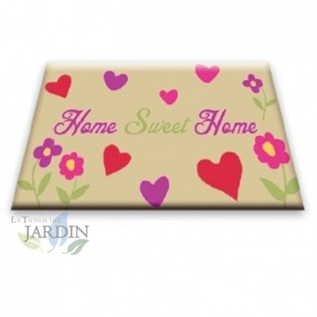 Paillasson Exterieur Entree Tapis Entree Interieur Absorbant et Antidérapart 40x60 cm love