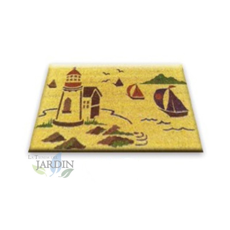 Paillasson Exterieur Entree Tapis Entree Interieur Absorbant et Antidérapart 40x60 cm marine