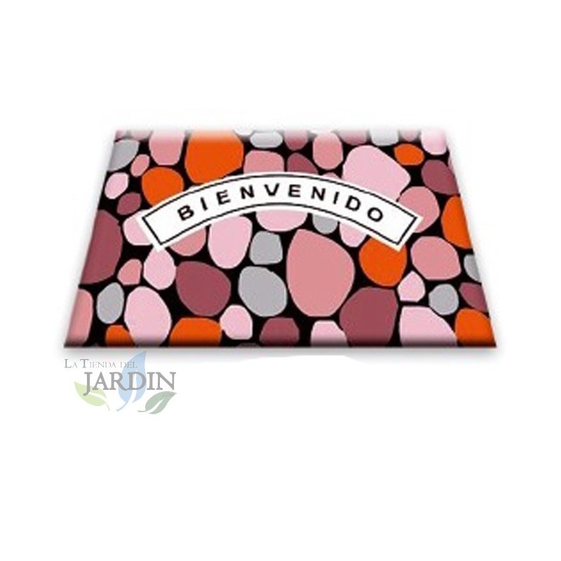 Zerbino da Esterno Ingresso, Tappeto da Ingresso Interno Assorbente e Antiscivolo 40x60 cm Welcome Zerbino da Esterno Ingresso, Tappeto da Ingresso Interno Assorbente e Antiscivolo 40x60 cm Welcome