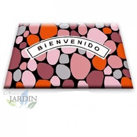 Doormat 40x60 cm welcome home