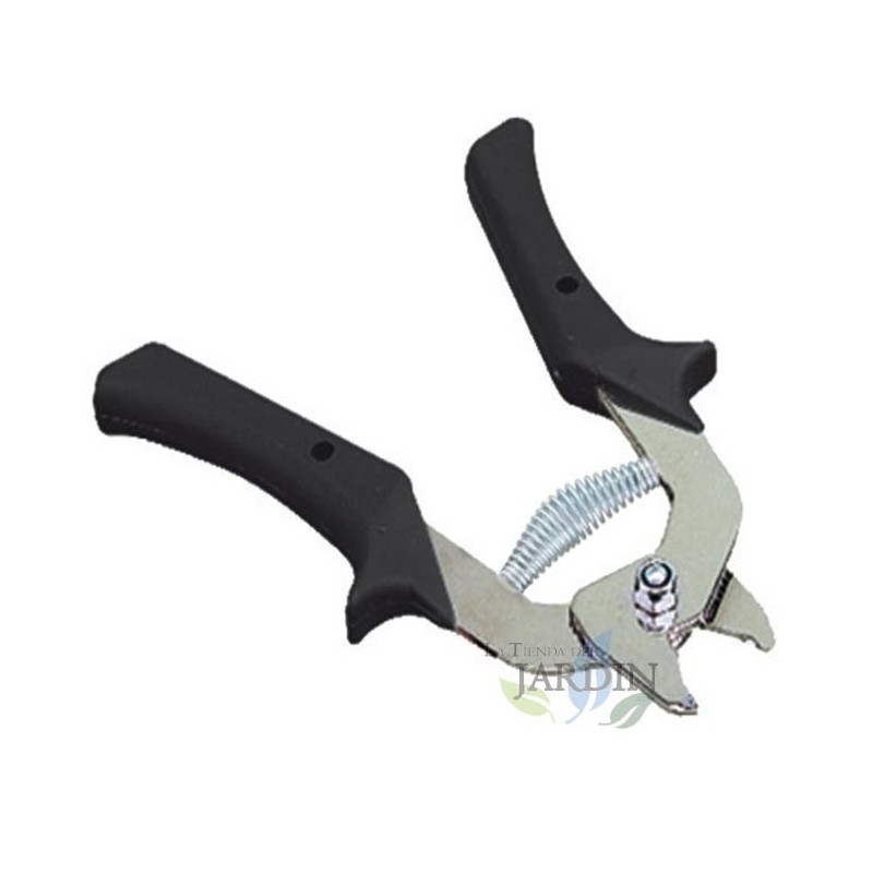 Pinzatrice Manuale in Ottone 10 x 1,5 x 19 cm Pinzatrice Manuale in Ottone 10 x 1,5 x 19 cm