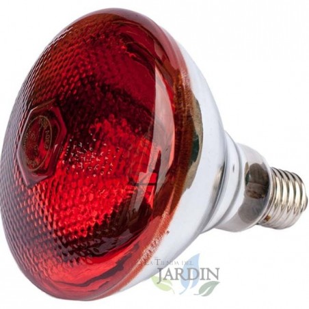  175W Ultraviolett-Infrarot-Glühlampe