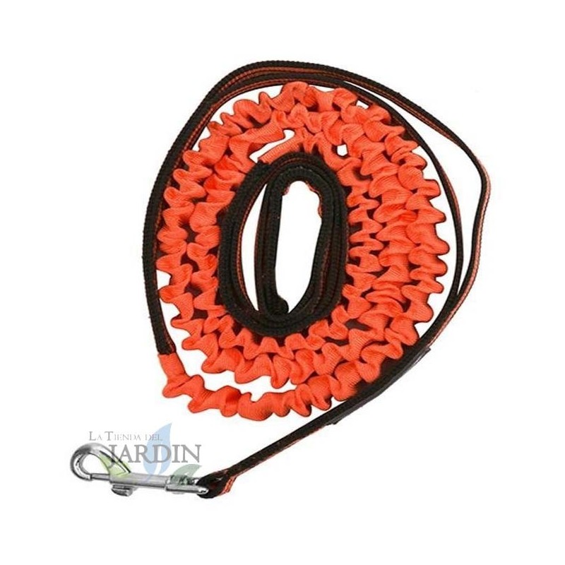 Laisse anti-traction pour chien 150cm orange, pour la protection des animaux