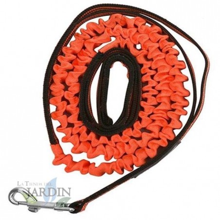 Anti-pull dog leash 150cm orange