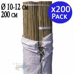 Lot de 200 Tuteur en Bambou 200 cm, 10-12 mm, Tubes en Bambou pour Plantes et Arbres, Baguettes de bambou, Canne de bambou