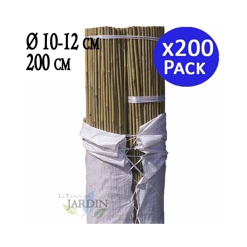 Pack 200 x Tutores de Bambú 200 cm, 10-12 mm. Varillas de bambú, caña bambú ecológica para sujetar árboles, plantas y hortalizas