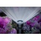 Lot de 5 Diffuseur d'arrosage Hunter PSU-04-17A avec buse réglable 17A. Portée 5,2 m, Tuyère d'irrigation hauteur de tige 10 cm Lot de 5 Diffuseur d'arrosage Hunter PSU-04-17A avec buse réglable 17A. Portée 5,2 m, Tuyère d'irrigation hauteur de tige 10 cm