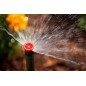 Lot de 5 Diffuseur d'arrosage Hunter PSU-04-17A avec buse réglable 17A. Portée 5,2 m, Tuyère d'irrigation hauteur de tige 10 cm Lot de 5 Diffuseur d'arrosage Hunter PSU-04-17A avec buse réglable 17A. Portée 5,2 m, Tuyère d'irrigation hauteur de tige 10 cm