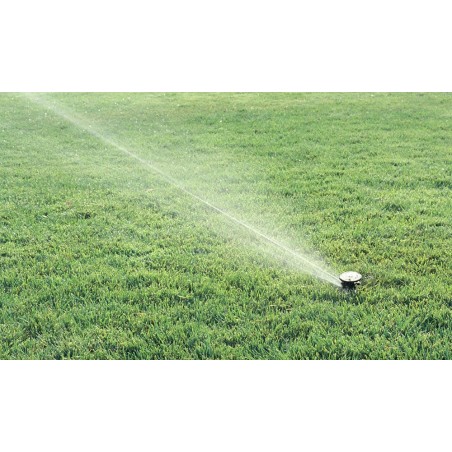 Irrigatore Rain Bird MaxiPaw da 3/4"